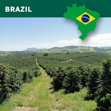 Brazil Cerrado Dulce NY2 17/18, Fine Cup, Carbon Neutral, Natural, 1kg