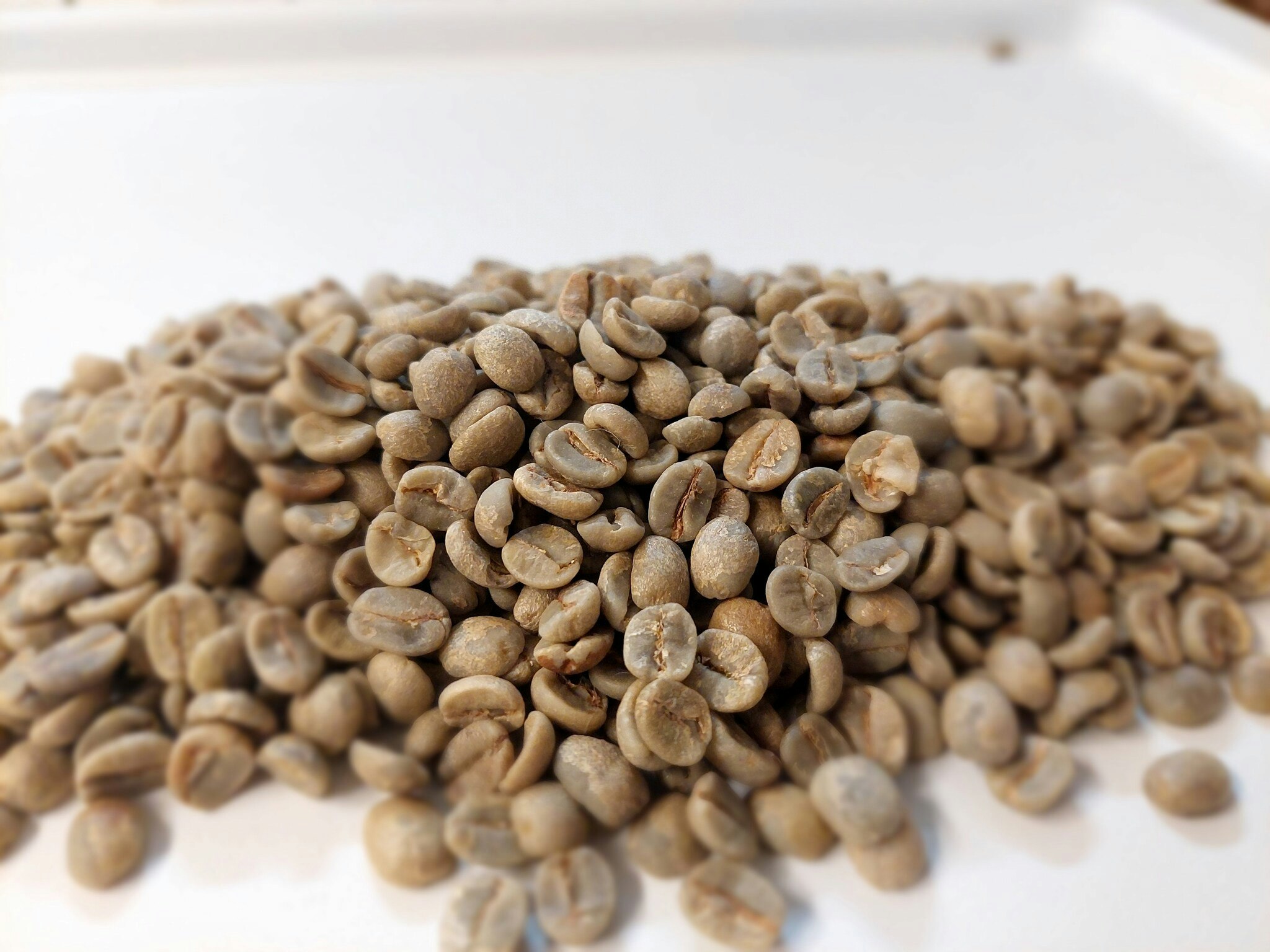 Brazil Cerrado Dulce NY2 17/18, Fine Cup, Carbon Neutral, Natural, 1kg