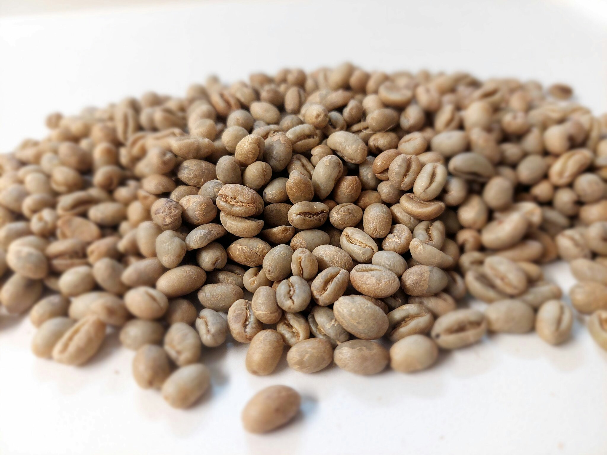 India Plantation Peaberry Pearl, Washed, 1kg