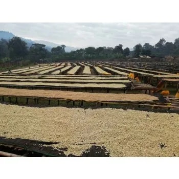Ethiopia Yirgacheffe Konga Gr 1, Natural, 1kg