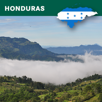 Honduras Siguatepeque, Los Liros, HG EP, Washed, 1kg