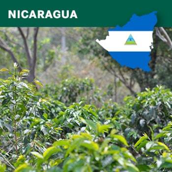 Nicaragua, Fancy Las Mimosas, SHG EP, Washed, 1kg