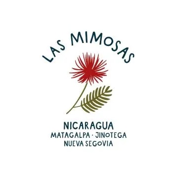 Nicaragua, Fancy Las Mimosas, SHG EP, Washed, 1kg