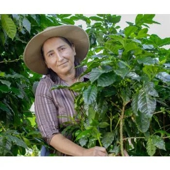 Costa Rica, Tarrazu La Pastora, SHB EP, Washed, 1kg