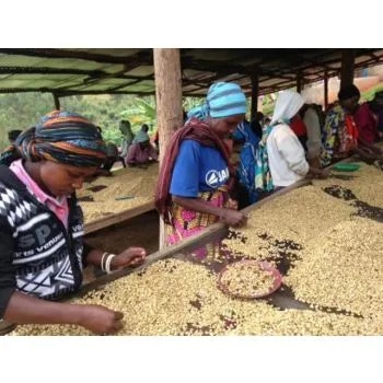 Rwanda Bourbon, Huye Simbi, Honey, 1kg