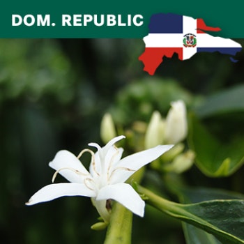 Dominican Republic, San José de Ocoa, Finca Ibonna, Washed, 1kg