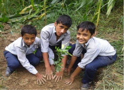 5 bambusplanter i Nepal med digitalt takkebrev