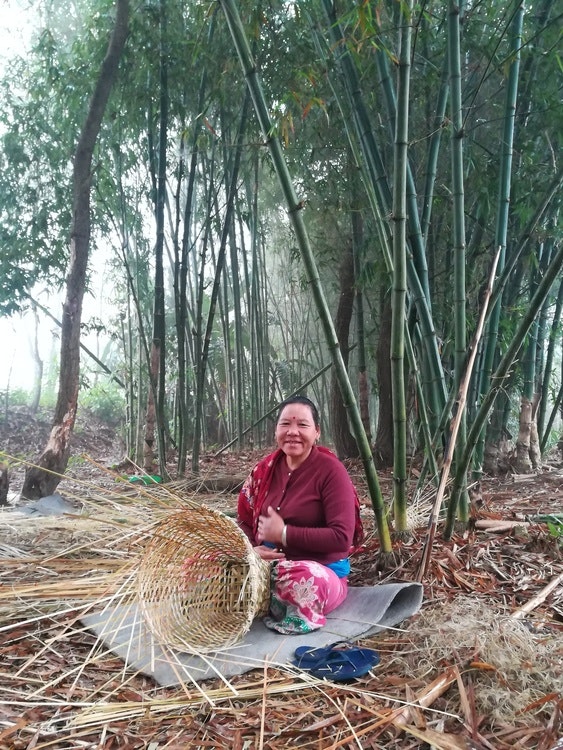 10 bambusplanter i Nepal med digitalt takkebrev