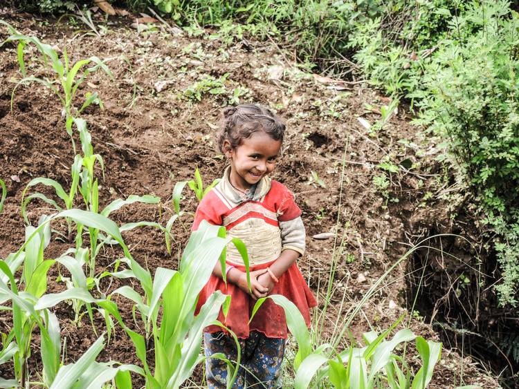 15 bambusplanter i Nepal med takkebrev