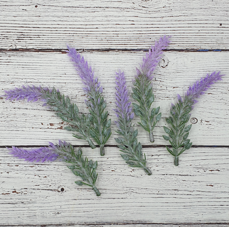Lavendel, kvist.