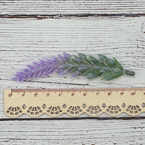 Lavendel, kvist, 10 cm lång.