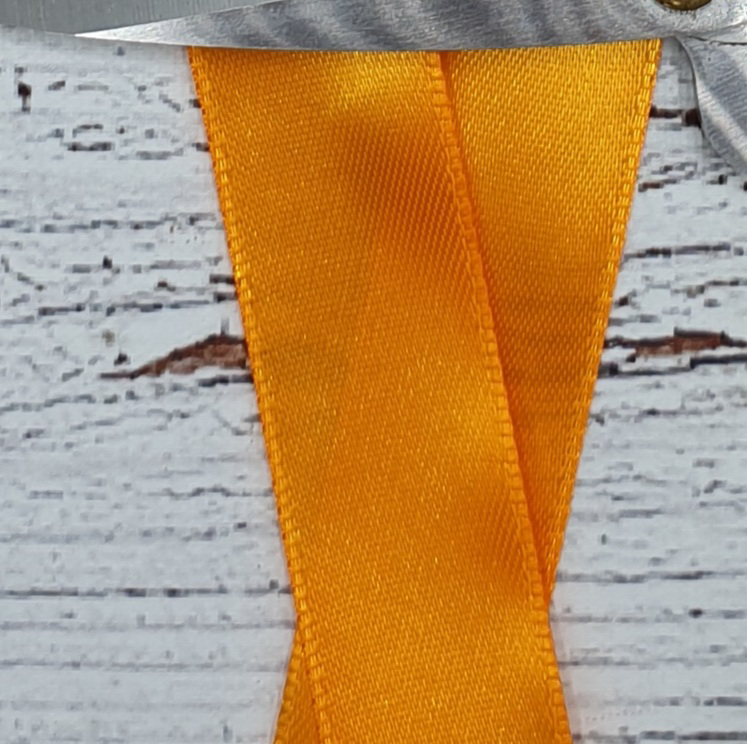 "Elise" sidenband, Dark Orange. 2 cm bred