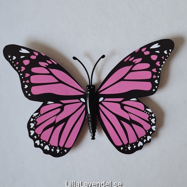 Fjärilar, Lila, Stora, 3D, 7 sorter