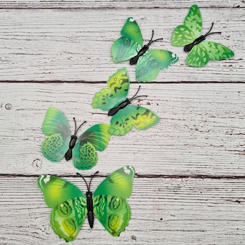 Fjärilar, Gröna, Små, 3D
