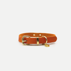 Leather Collar - Orange