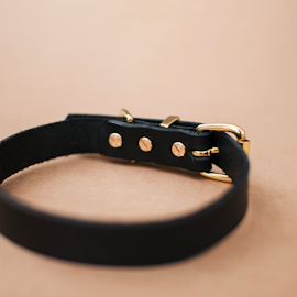 Svenskt Läderhalsband - Svart