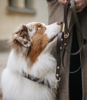 BioThane® hundkoppel med väktarhandtag