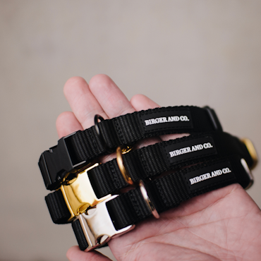 Ställbart Nylonhalsband