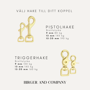 Tvåfärgat   BioThane® hundkoppel