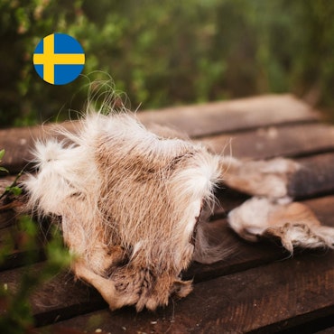 Hjortskinn med päls