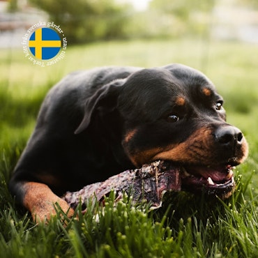 Torkad Oxmule med päls