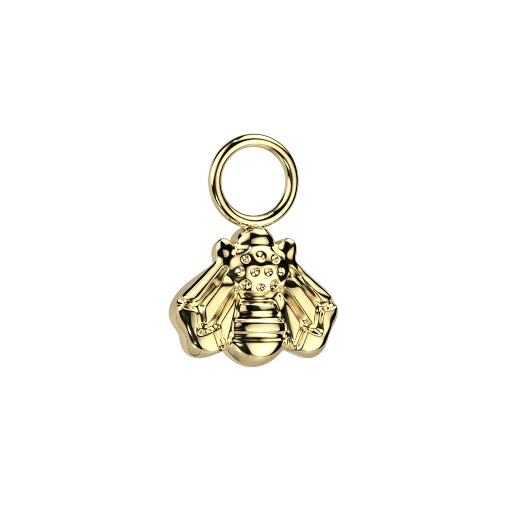 Hänge / berlock till clicker ringar - titanium - Bi
