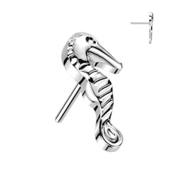 Topp i titanium för våra threadless smycken - Sjöhäst