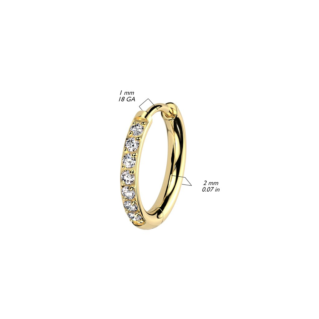 Örhänge / creoler i titanium - 2mm med kubisk zirconia (Säljes i par)