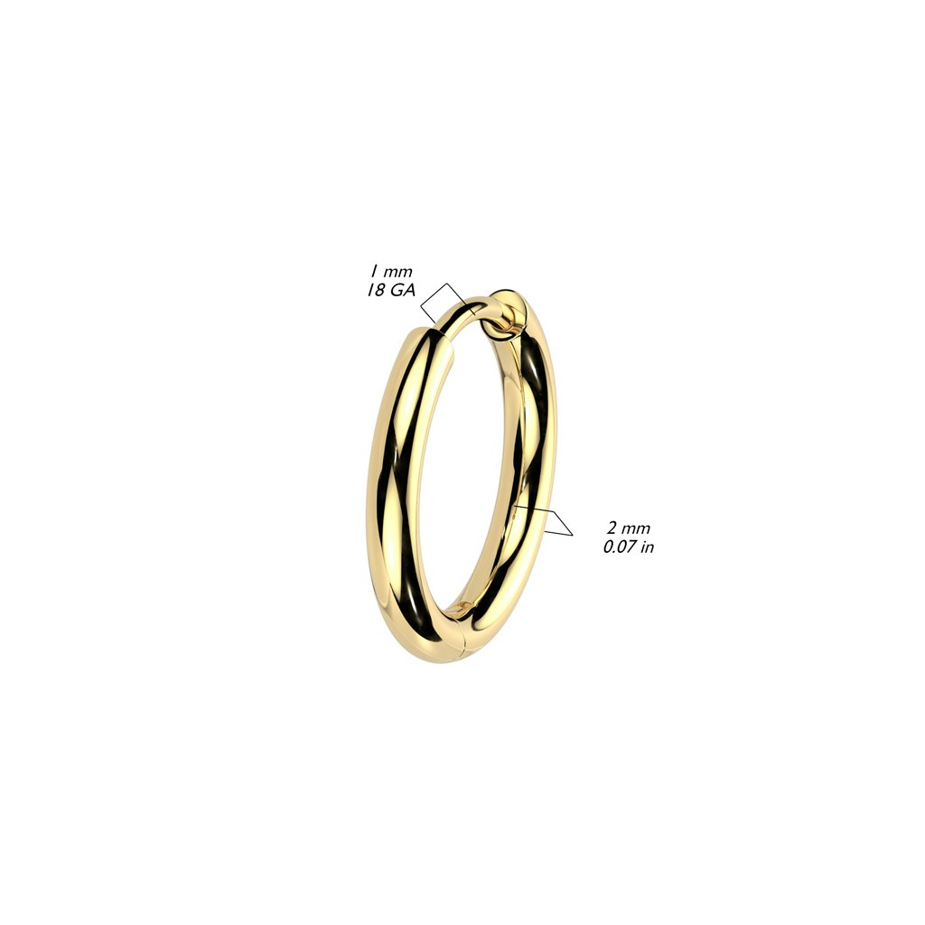 Creoler örhängen i titanium - 2mm tjock (Säljes i par)