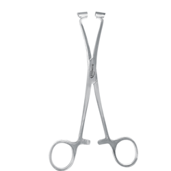 Septum Forceps 16cm straight - piercing tool for septum piercing