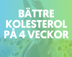 Bättre Kolesterol På 4 Veckor(i PDF-format)