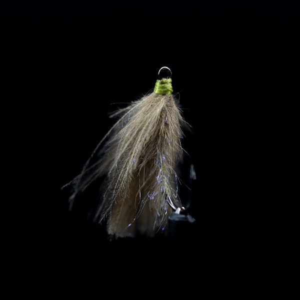 CDC Caddis