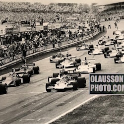 74 - Englands GP, Brands Hatch, Lauda/Ronnie - Canvasduk i format 50x70 cm