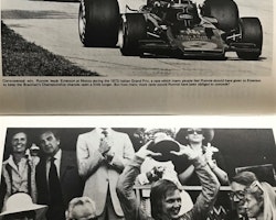 Ronnie Peterson GP Driver - Search for Perfection - Alan Henry - 166 sid - engelsk bok