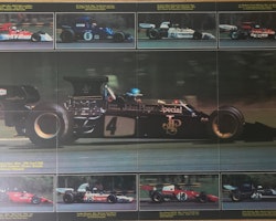 Ronnie Peterson affisch 1973 - Argentinas GP - 60 x 90 cm - monterad, veck