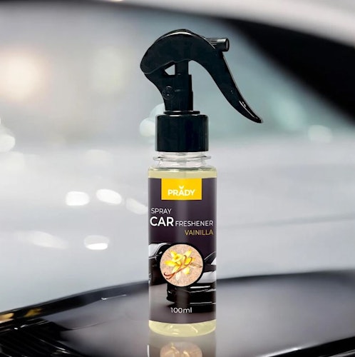 AUTO GEUR SPRAY