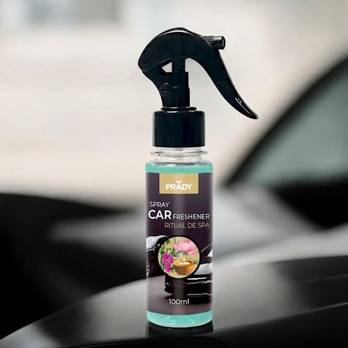 AUTO GEUR SPRAY