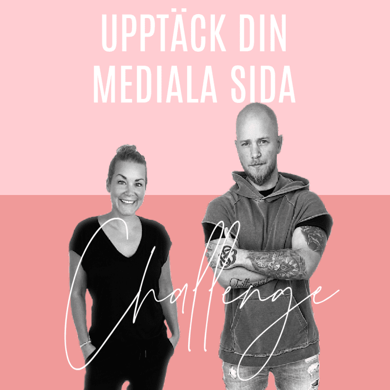 UTVECKLA DIN MEDIALA SIDA
