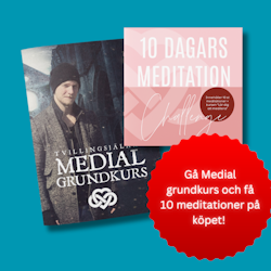 Kurspaket: Medial Grundkurs med Andreas Hamrén Österlund + 10 dagars meditation på köpet (Signerade)