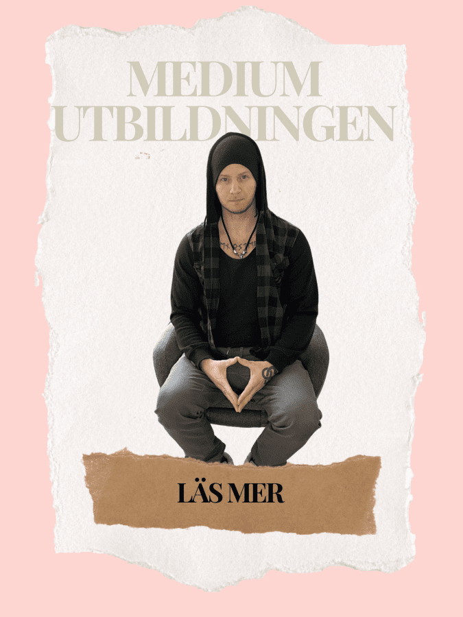Tvillingsjälar