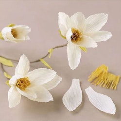 DIY-kit Pappersblommor - Magnoliakvist i kräppapper
