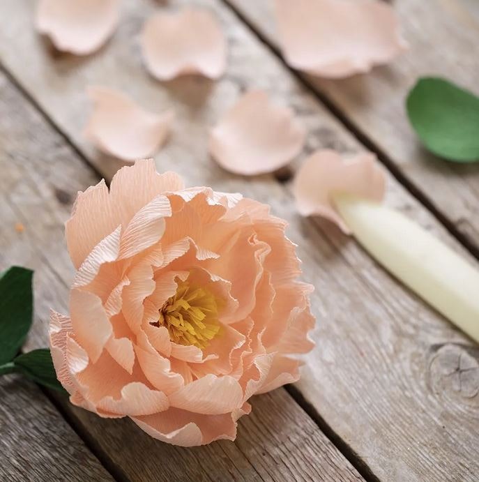 Startkit pappersblommor