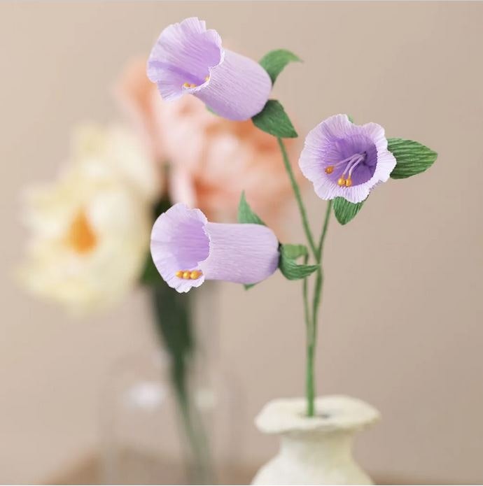 Startkit pappersblommor