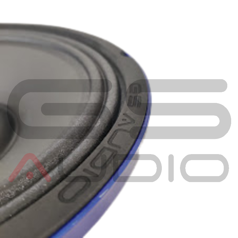 GS Audio Voce NEO 10"