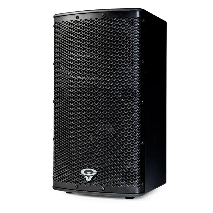 Cerwin-Vega P1000X