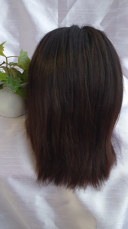 Straight Dark Brown 100% Human Hair Wig