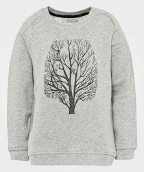 Tree of life