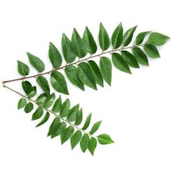 Fresh Curry Leaves 50gms
