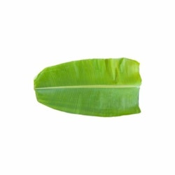 Banana Leaf 1pc