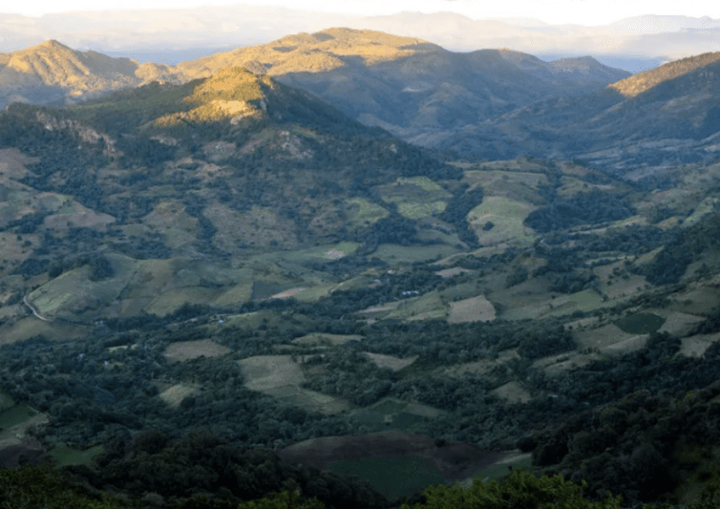 Kaffe från Nicaragua